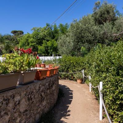 Solarium Spiaggia Gaeta 415